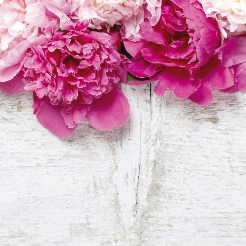 Fotokissen pinkfarbene Blumen