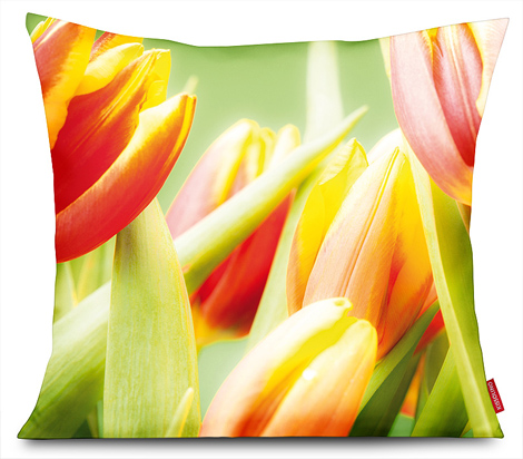 Fotokissen "Tulpen 1"