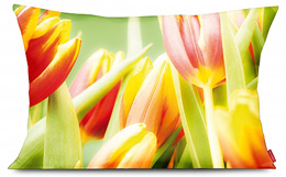 Fotokissen "Tulpen 1"