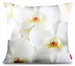 Fotokissen "Orchidee"